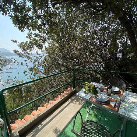 Le Dimore Di Zaro - Green Paradise Forio di Ischia المظهر الخارجي الصورة
