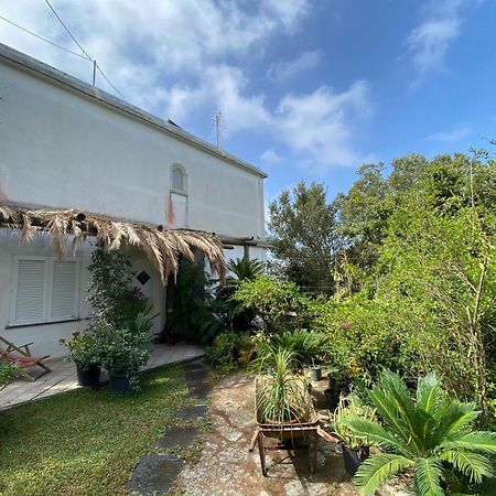 Le Dimore Di Zaro - Green Paradise Forio di Ischia الغرفة الصورة