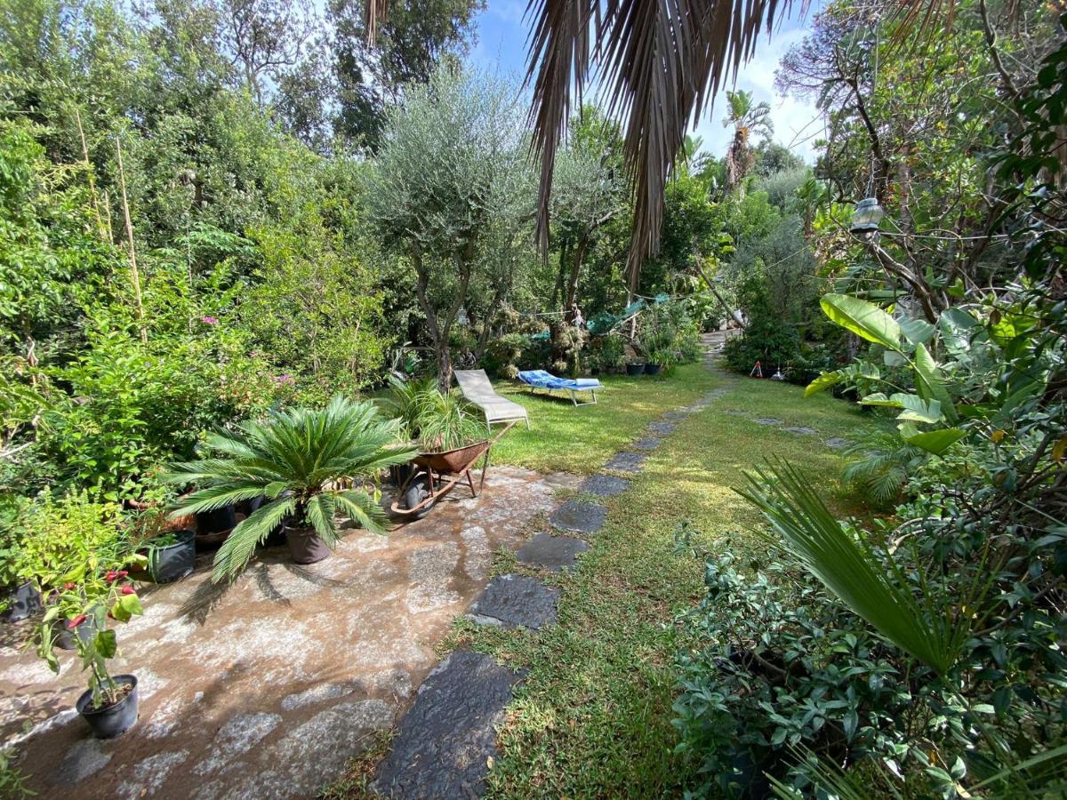 Le Dimore Di Zaro - Green Paradise Forio di Ischia المظهر الخارجي الصورة