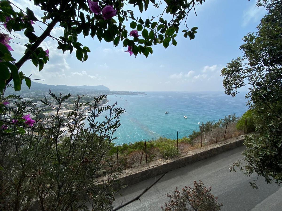 Le Dimore Di Zaro - Green Paradise Forio di Ischia المظهر الخارجي الصورة