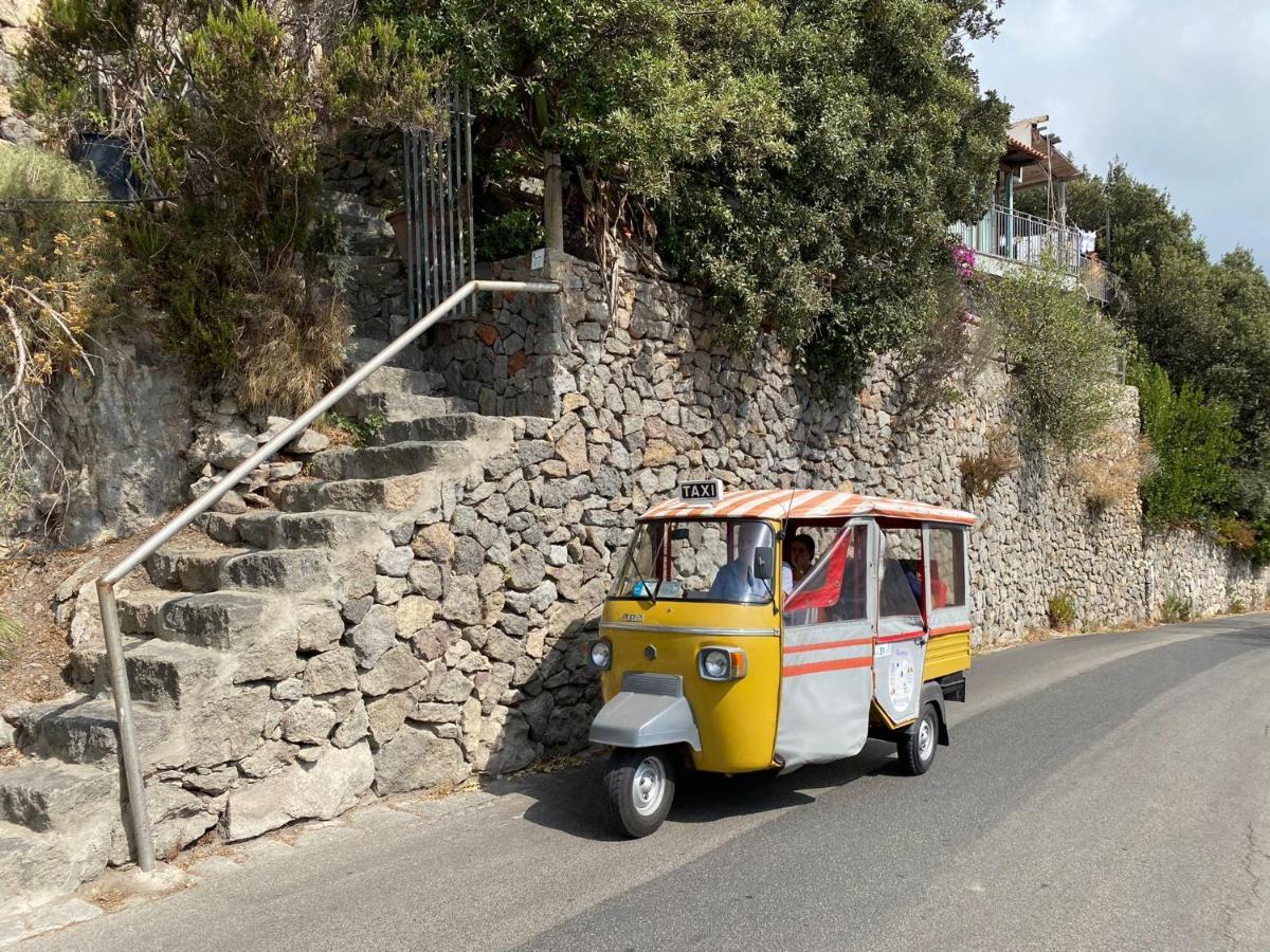 Le Dimore Di Zaro - Green Paradise Forio di Ischia المظهر الخارجي الصورة