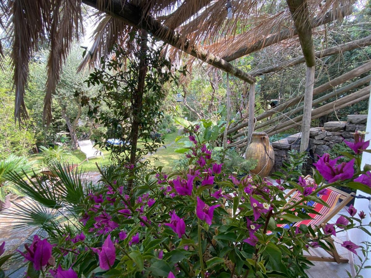 Le Dimore Di Zaro - Green Paradise Forio di Ischia المظهر الخارجي الصورة