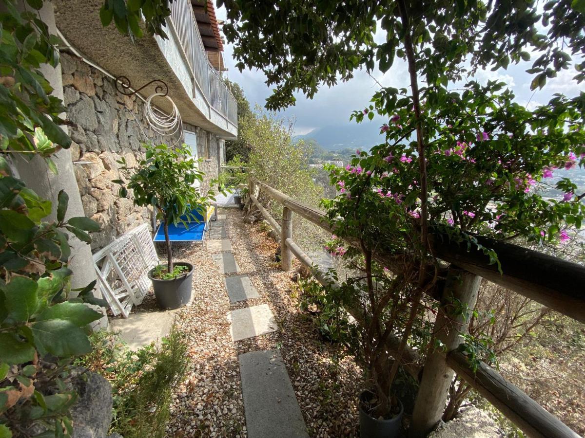 Le Dimore Di Zaro - Green Paradise Forio di Ischia المظهر الخارجي الصورة