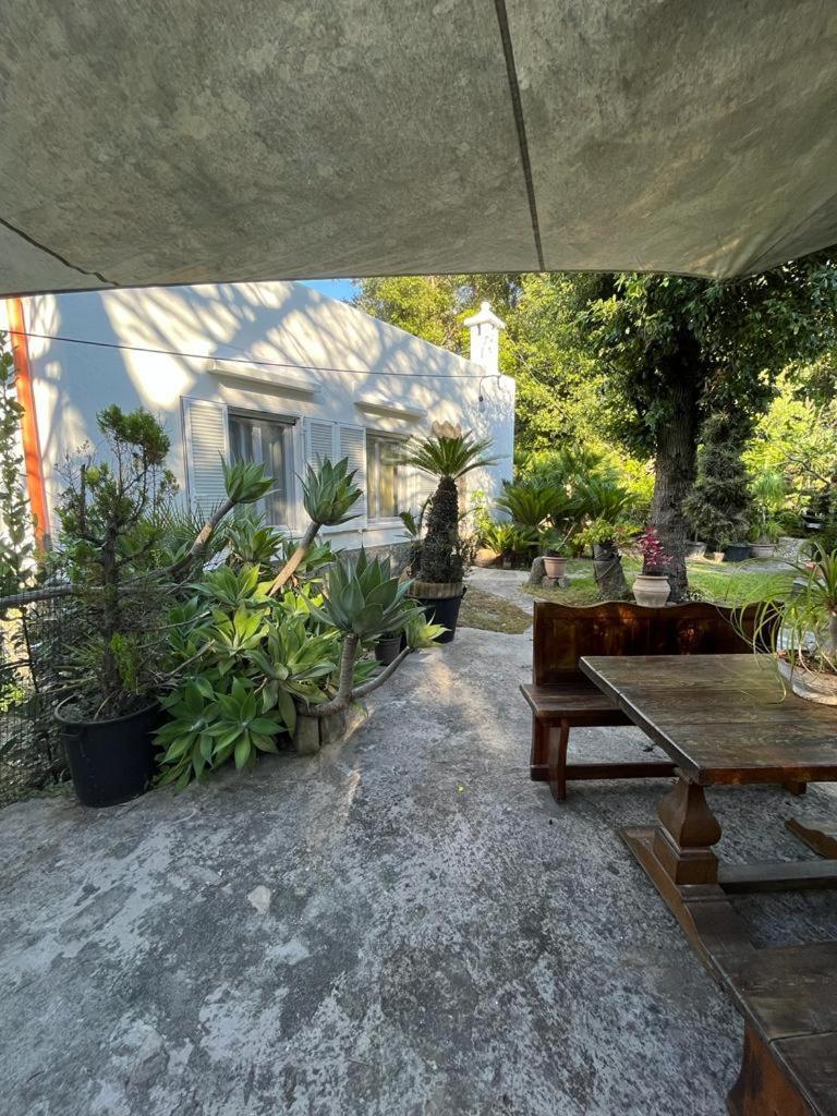 Le Dimore Di Zaro - Green Paradise Forio di Ischia المظهر الخارجي الصورة