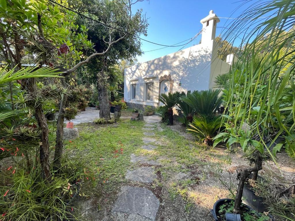 Le Dimore Di Zaro - Green Paradise Forio di Ischia المظهر الخارجي الصورة