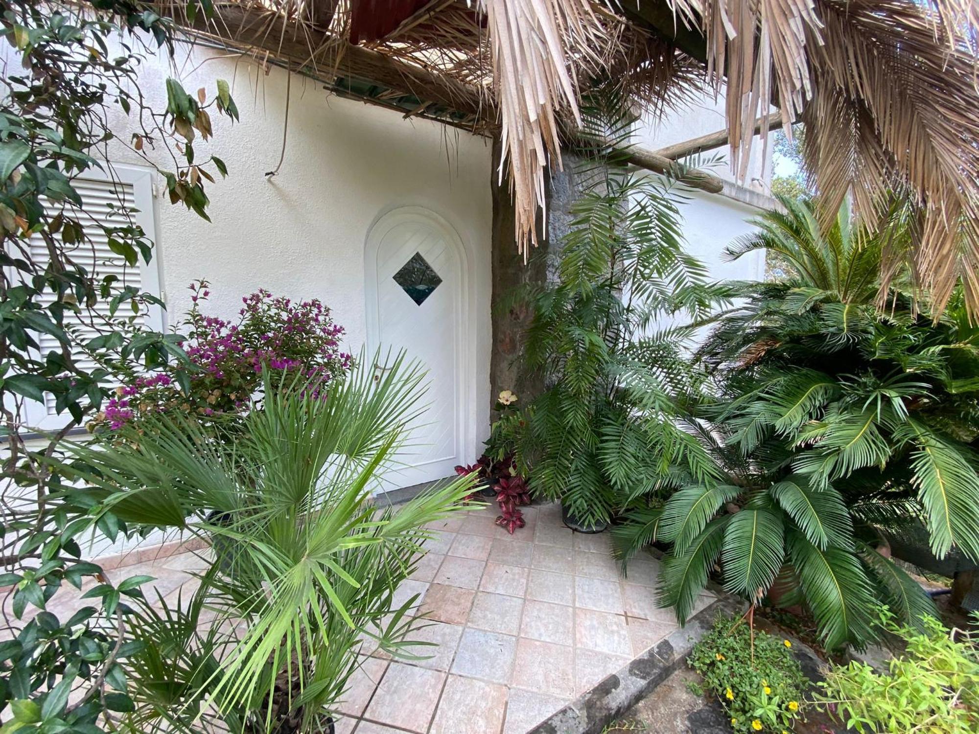 Le Dimore Di Zaro - Green Paradise Forio di Ischia الغرفة الصورة