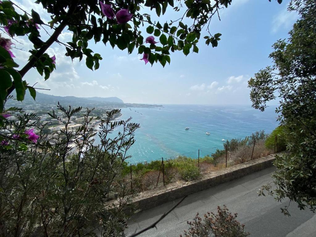 Le Dimore Di Zaro - Green Paradise Forio di Ischia المظهر الخارجي الصورة